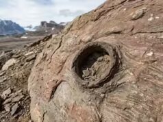 Un minuscolo buco in Groenlandia rivela come le creature sopravvissero al clima estremo 210 milioni di anni fa