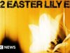 Easter Lily degli U2 è il loro secondo EP a sorpresa quest’anno