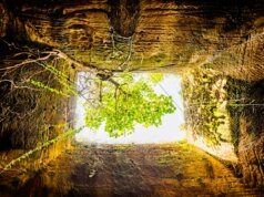 L’uso prolungato dell’intelligenza artificiale può essere pericoloso per la salute e il lavoro: 4 modi per rimanere al sicuro