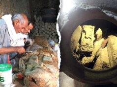 Una preziosa scoperta in Egitto rivela rotoli di 3.000 anni con messaggi segreti ancora non letti