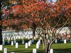 SEN TIM SHEEHY: Le famiglie Gold Star meritano giustizia. Questi 15 miliardi di dollari dall’Iran sono un inizio