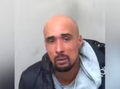 Sbranato a morte da cani prepotenti XL: il rapper britannico incarcerato per la morte mortale della suocera in un attacco canino