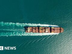 Una nave di proprietà francese attraversa lo stretto di Hormuz