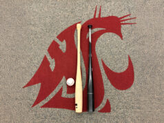 “Il legno è legno”: la ricerca della WSU rileva che i pipistrelli “siluro” virali degli Yankees si comportano come i pipistrelli tradizionali