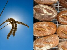 Produrre un pane migliore