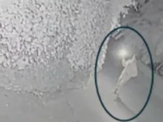 Gli investigatori spiegano perché pensano che il CEO di OpenAI Sam Altman sia stato preso di mira nel recente attacco