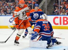 Les Geese in volo a Edmonton