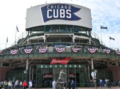 Fan avvistato con il laptop computer, apparentemente registrando le ore di lavoro dagli stand del Wrigley Discipline durante la partita del giorno dei Cubs