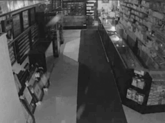 GUARDA: Pokémon, il furto di carte sportive raggiunge cifre a sei cifre mentre i detective danno la caccia ai sospetti