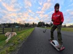Nuovo guinzaglio per la vita: perché questo veterano di Tableau ha abbandonato la tecnologia per dedicarsi ai cani