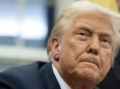 “Mio nonno period un bambino ancorato”: la nipote di Donald Trump afferma che il miglior caso contro la cittadinanza per diritto di nascita è…