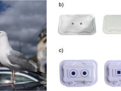 Questo trucco ridicolmente semplice potrebbe impedire ai gabbiani di afferrare il tuo pranzo