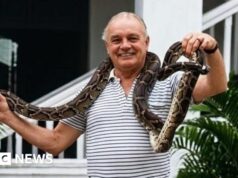 Ha fatto jazz sotto i bombardamenti aerei e ha costruito la scena musicale di una città indiana