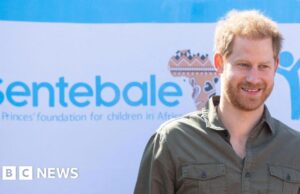 Il principe Harry ha fatto causa per diffamazione all’organizzazione benefica Sentebale da lui co-fondata