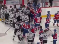 Caos totale nel LHJMQ: una partita tra l’Armada e i Wildcats finirà in bagarre generale