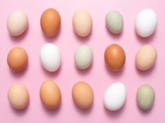 Le uova rimangono fresche più a lungo di quanto pensi. Ecco come capire se sono ancora buoni