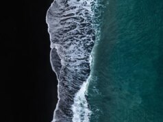 Nuovo rapporto sul lavoro del MIT: perché l’impatto dell’intelligenza artificiale sul lavoro arriverà come una marea che sale, non come un’onda che si infrange