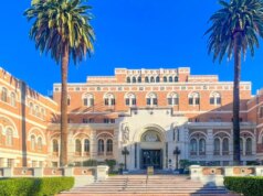 Scegliere una laurea? L’intelligenza artificiale può aiutarti a restringere il campo