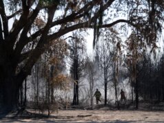 2 Gli incendi in Georgia distruggono più di 100 case e bruciano oltre 38.000 acri