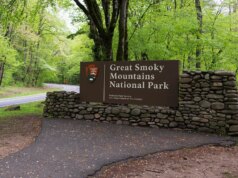 Il pericolo nascosto nel famoso parco nazionale degli Stati Uniti costringe alla chiusura dei sentieri mentre aumentano gli avvistamenti di orsi