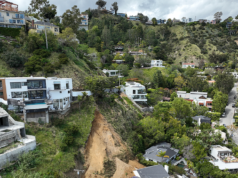 Squadre mascherate di furti che terrorizzano i quartieri lussuosi mostrano che “stanno facendo i compiti”, avverte un poliziotto veterano