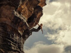 Recensione Apex: ecco perché le donne scelgono l’orso