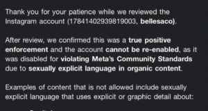 Secondo quanto riferito, Instagram cancella l’account del negozio di giocattoli sessuali di Bellesa per aver utilizzato la parola clitoride
