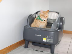Recensione Oneisall Ease S1: finalmente una lettiera intelligente che non costa un braccio e una zampa