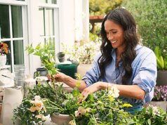 I sogni falliti di Meghan Markle, Martha Stewart, derisi dal comico: “Stava lanciando marmellata”