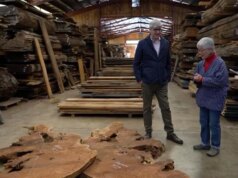 Creare un’eredità in legno