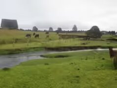 I siti umani più antichi nelle Americhe potrebbero essere erroneamente datati; suggerisce una nuova ricerca