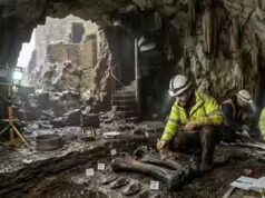 Una grotta preistorica nascosta sotto il castello di Pembroke rivela 120.000 anni di storia umana e animale