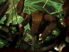 Guarda le prime fasi di come il “Progetto Ave Maria” ha dato vita a Rocky