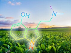 I ricercatori scoprono come aggiungere psilocibina, DMT e altri psichedelici al tabacco