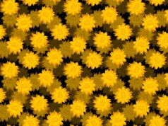 La piattaforma de-fi Drift sospende depositi e prelievi dopo il furto di milioni di criptovalute durante un attacco hacker