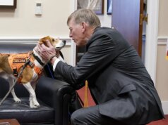 Il GOP prende di mira i check sugli animali transgender nella richiesta di finanziamento al NIH