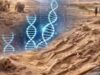 Scoperta nel Sahara: scheletri di 7.000 anni con puzzle del DNA sconosciuti agli scienziati