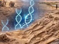 Scoperta nel Sahara: scheletri di 7.000 anni con puzzle del DNA sconosciuti agli scienziati