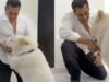 Le foto di Salman dimostrano che è più felice con il suo cane – FOTO