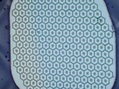 La Science Corp. di Max Hodak si sta preparando a posizionare il suo primo sensore in un cervello umano