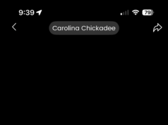 Recensione Coolfly Aura: più angoli, meno vantaggi