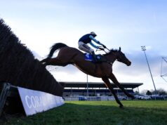 Edwardstone è il protagonista di cinque forti campioni del Sussex Chase