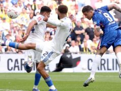 Fernandez aiuta a trasformare il Chelsea