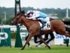 Inexperienced Spirit e Narissa si scontrano al Prix de la Grotte
