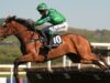 Il Guerriero Gaelico sigilla la doppietta della Coppa d’Oro a Punchestown