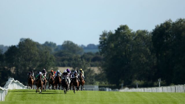 skysports-ripon-racing-horses_6887550.jpg