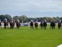 Seven Questions e Dyonisos puntano alla gloria del Trofeo d’Argento