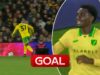 Toure segna un gol da urlo per il Norwich!
