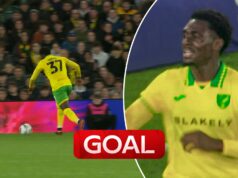 Toure segna un gol da urlo per il Norwich!