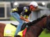 Tattica silenziosa fuori dal Kentucky Derby